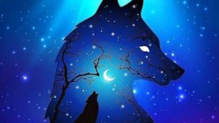 Jaccoblerのバナー