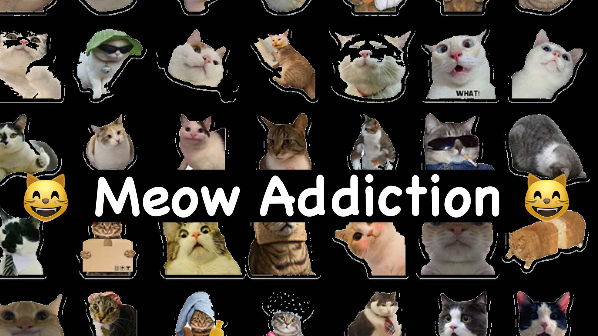 MEOW Addictionのバナー