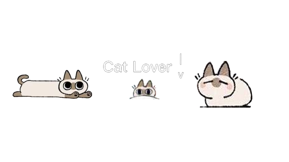 silly cat supremacy