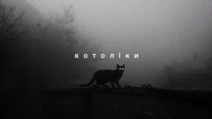 котолікиのバナー