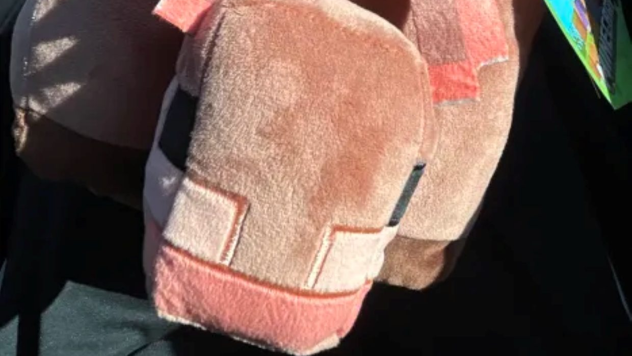 Pillow The Armadillo
