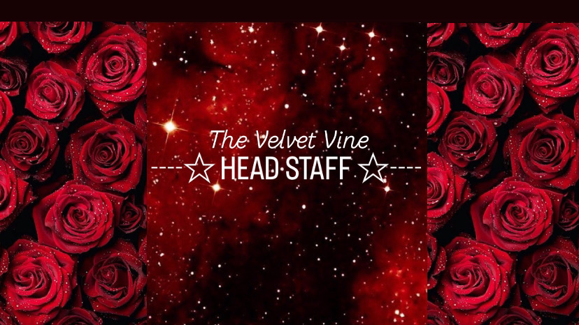 Velvet Head Staffのバナー