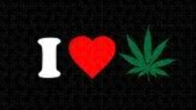 Weed loversのバナー