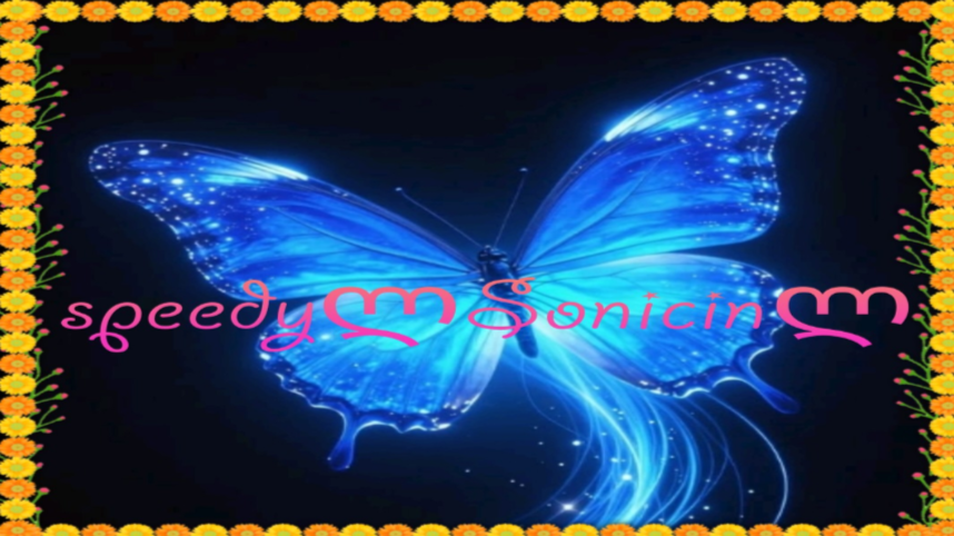 speedyლSonicinლのバナー