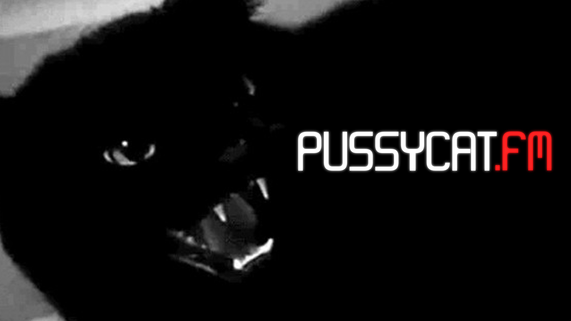 PussyCatFMのバナー