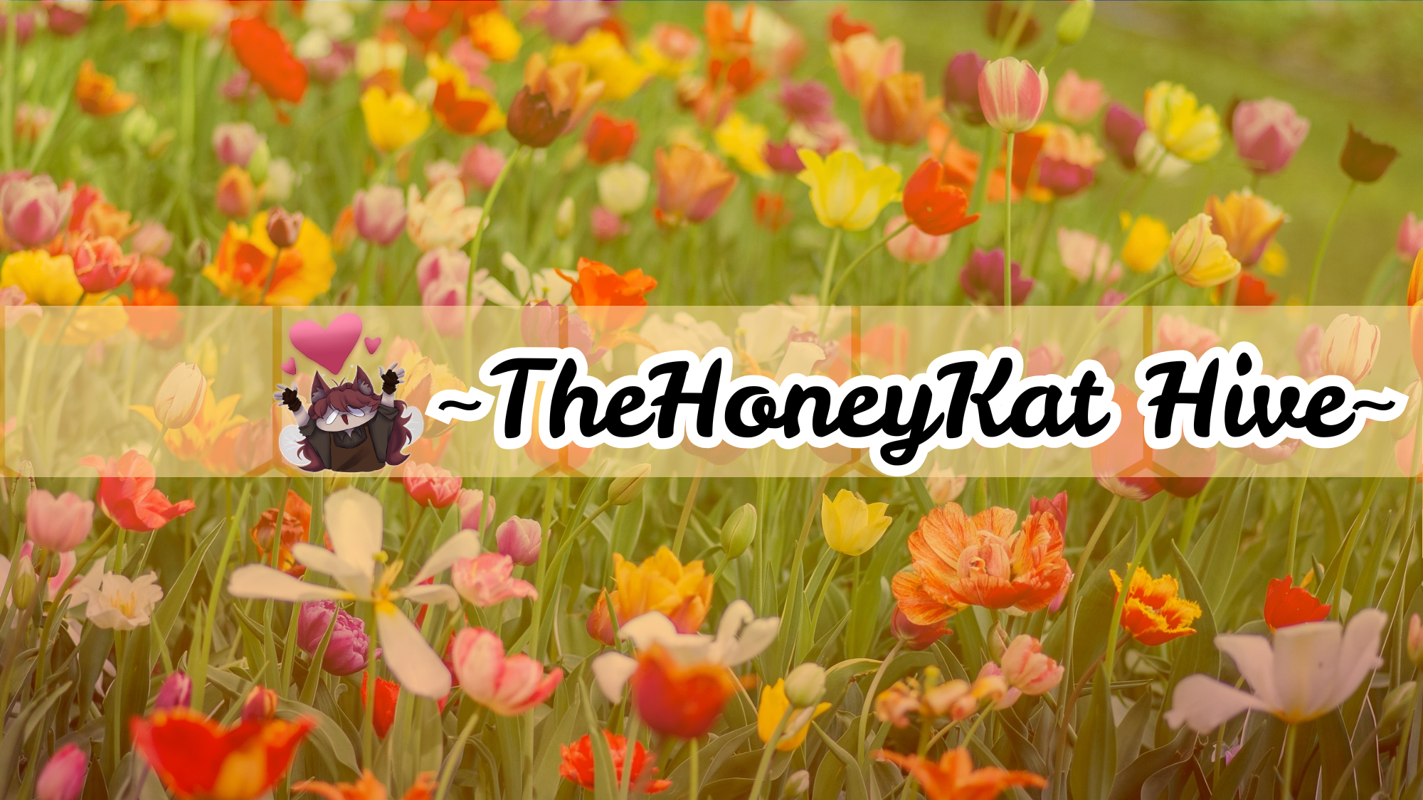 TheHoneyKatHiveのバナー