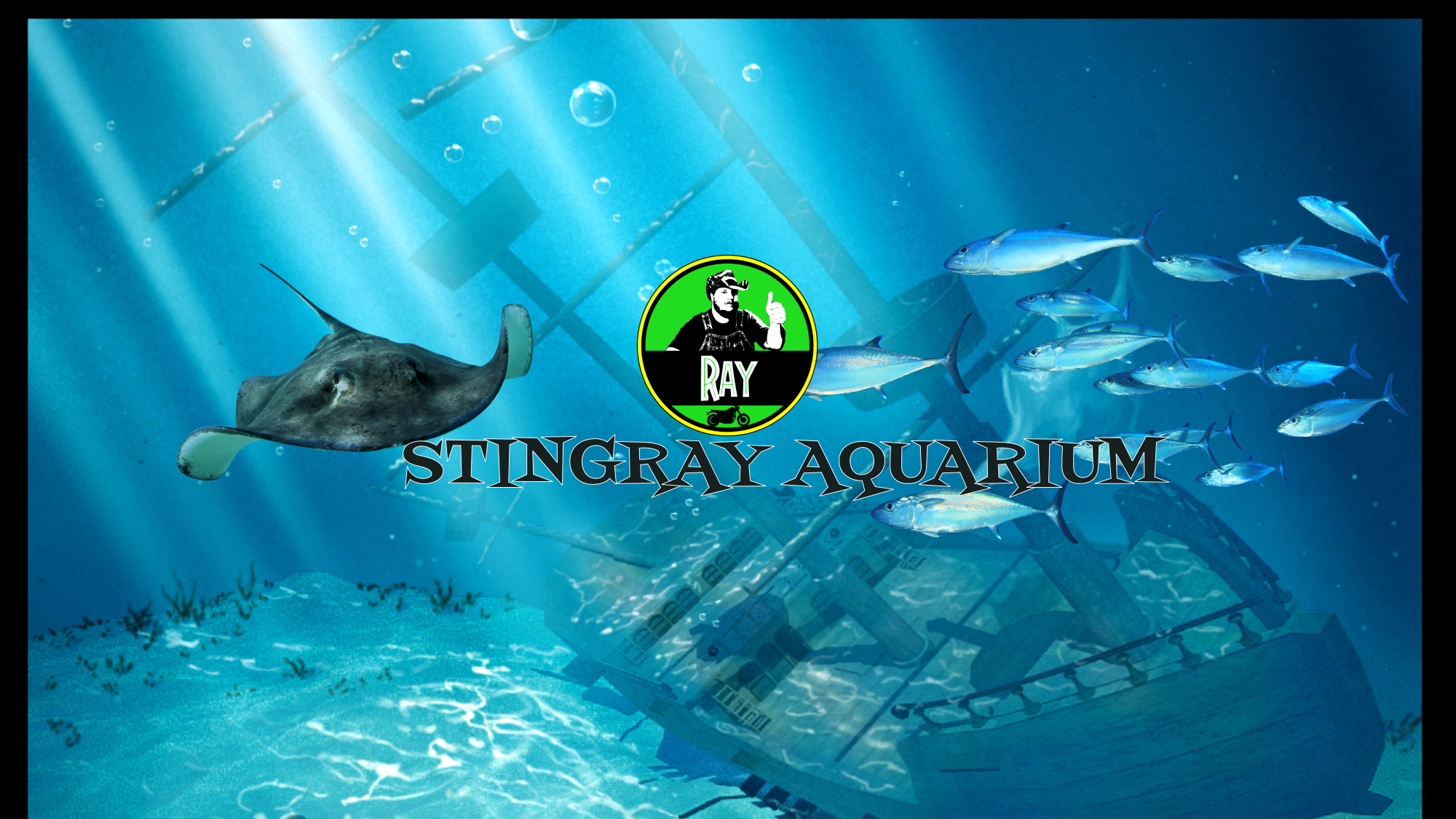 Stingray Aquarium