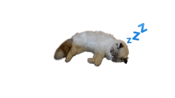 N0 SL33P