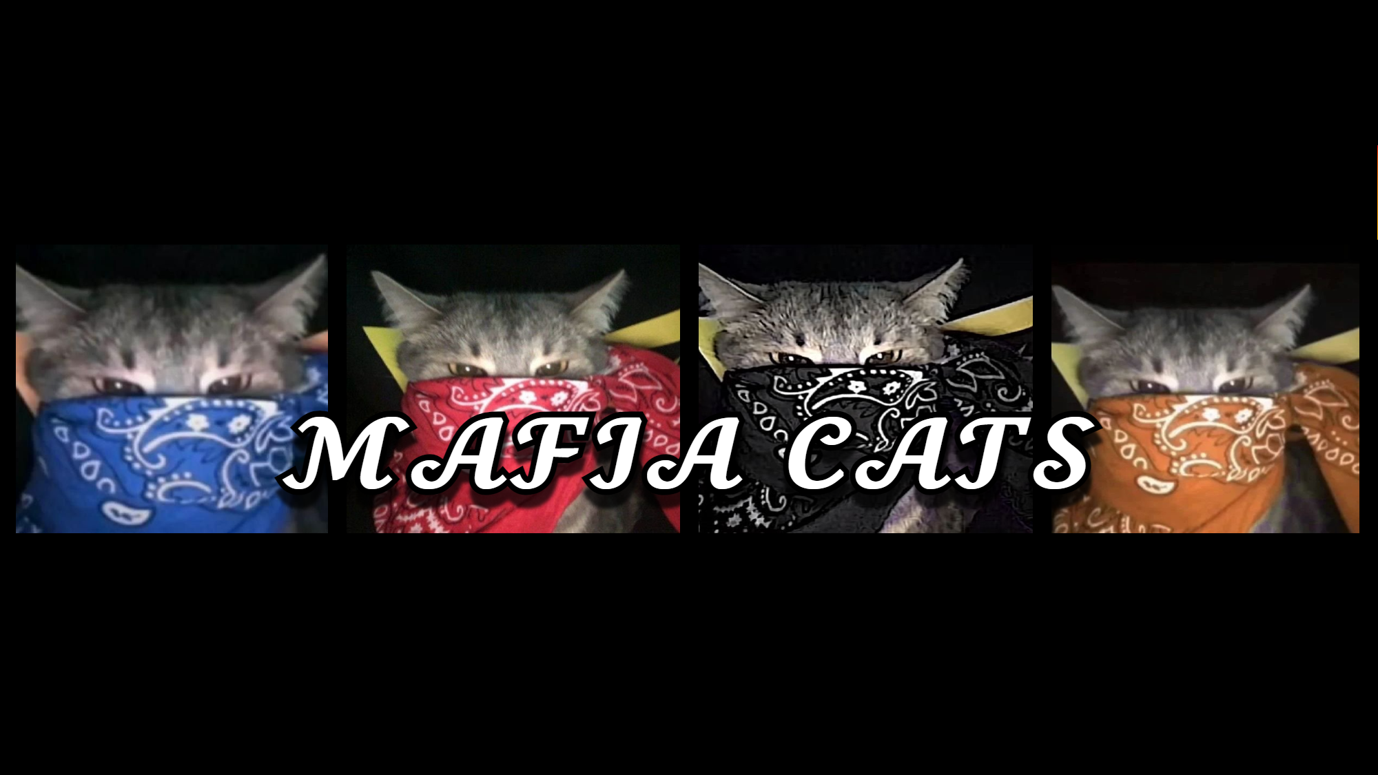 MAFIA CATSのバナー