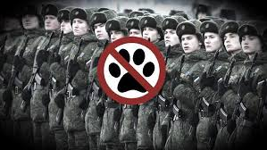 AntiFurryKlaanのバナー