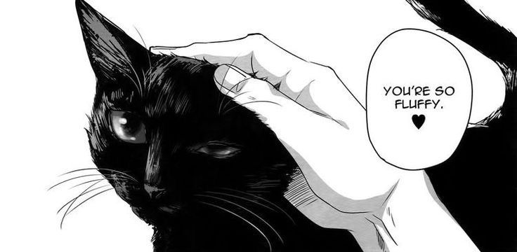 Lucipurr's Beloved Cult