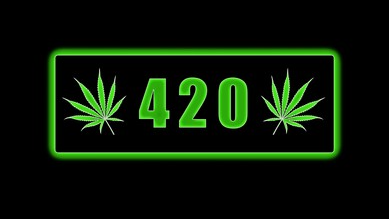 The 420 Crewのバナー