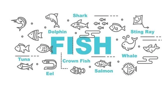 Project Fishingのバナー