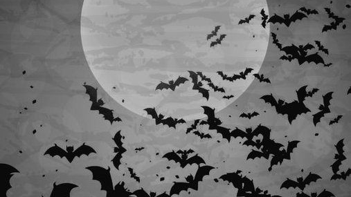 Batz