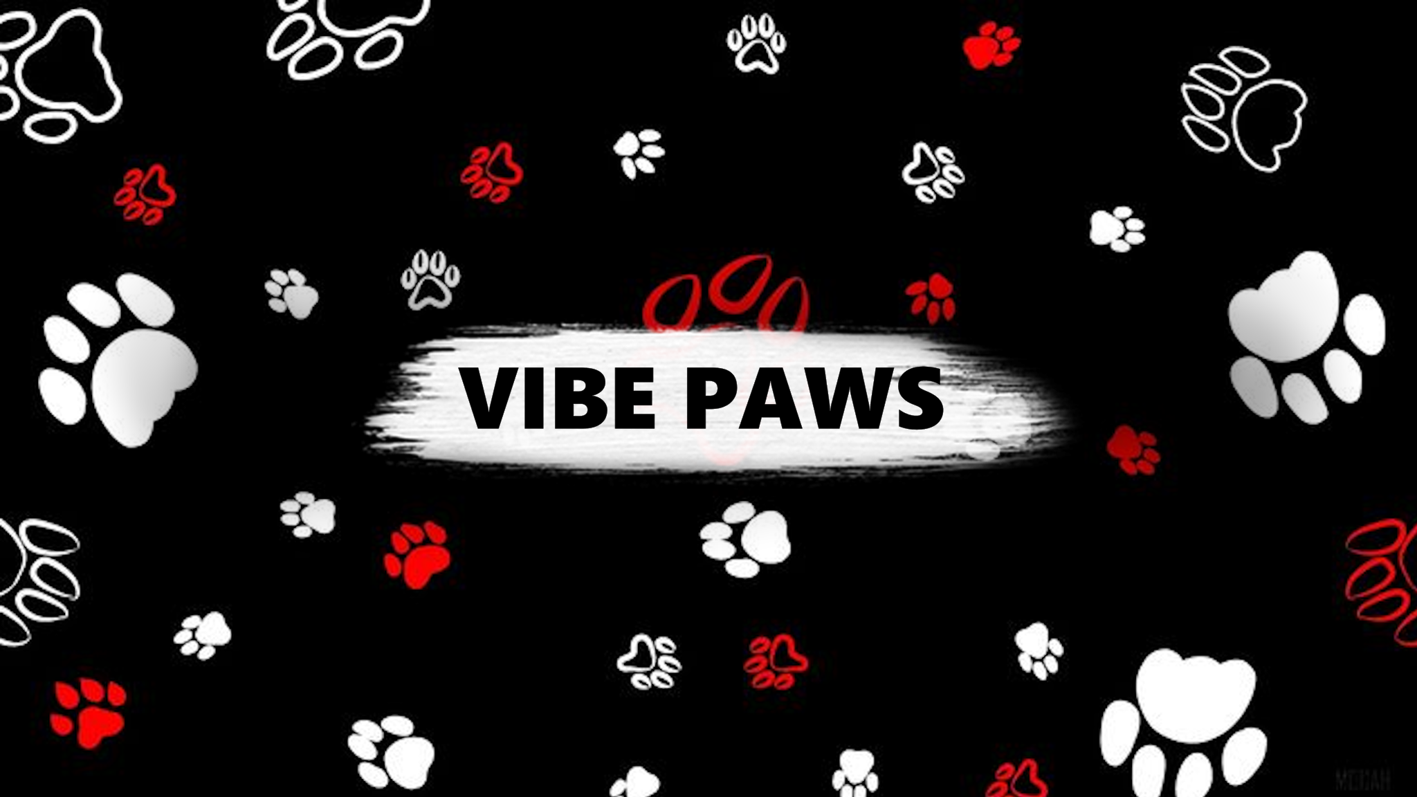 VIBE PAWSのバナー