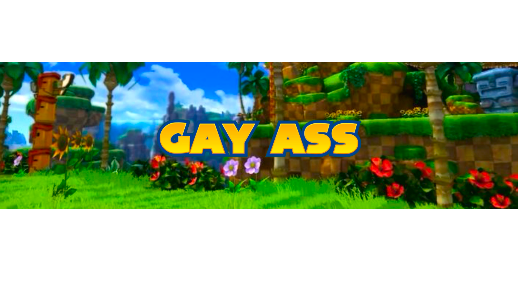 GAY SONICのバナー