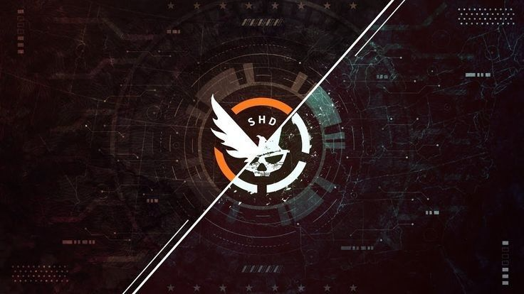 Divison 2 fan groupのバナー