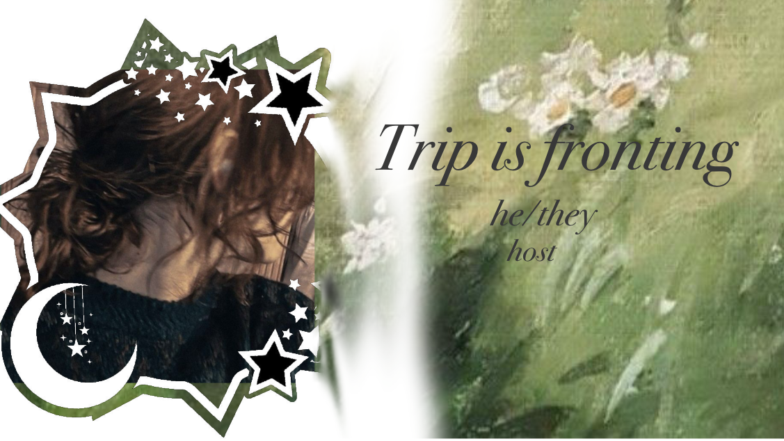 TRIP IS FRONTINGのバナー