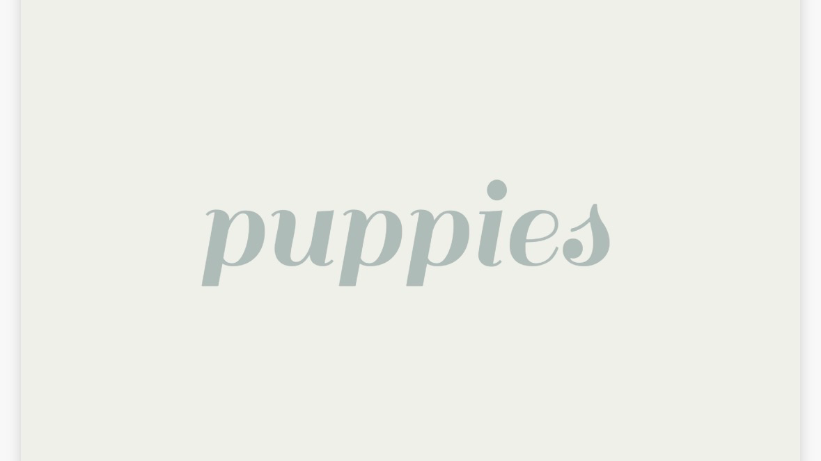 Puppiesのバナー