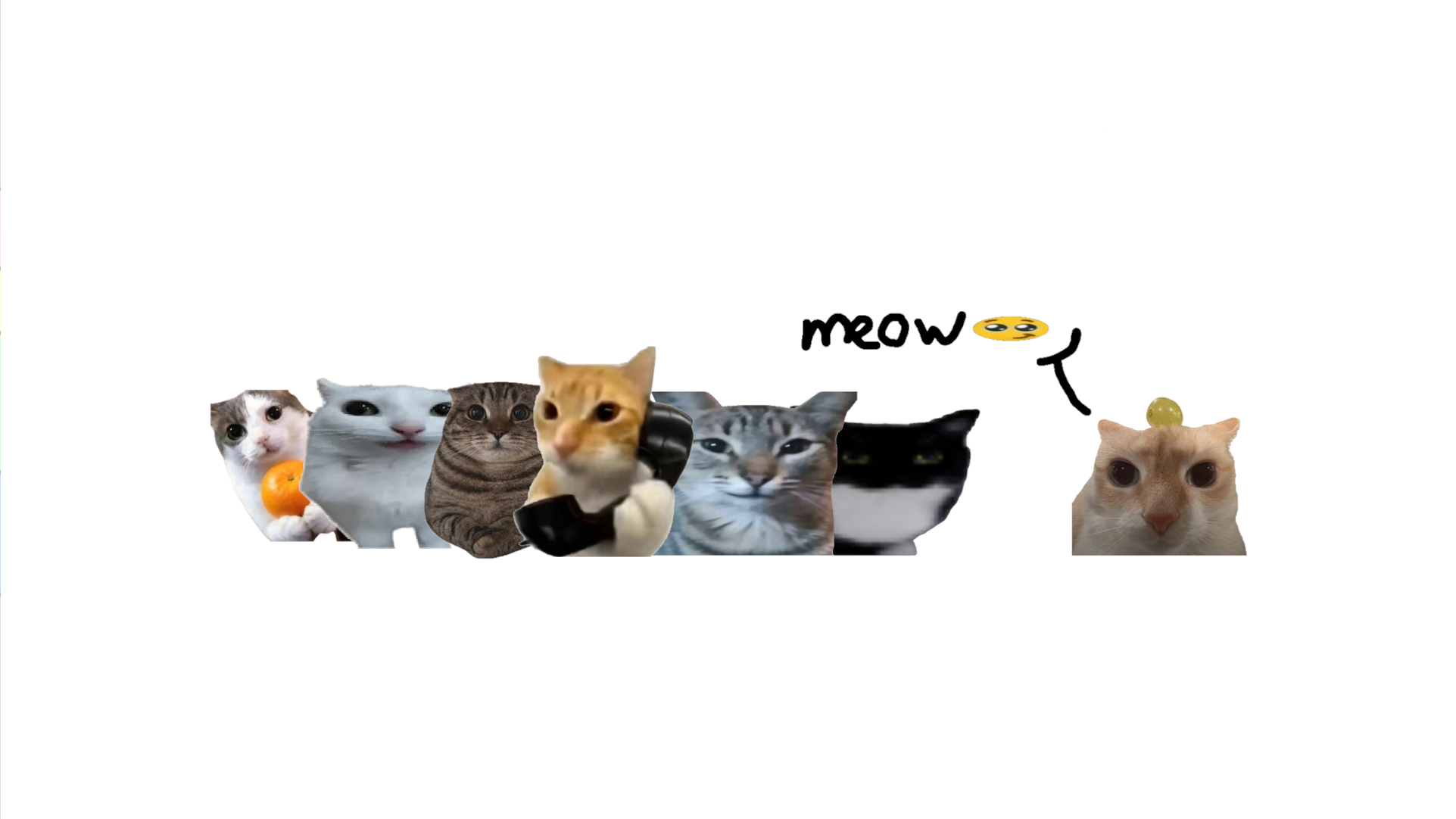 I am a catのバナー