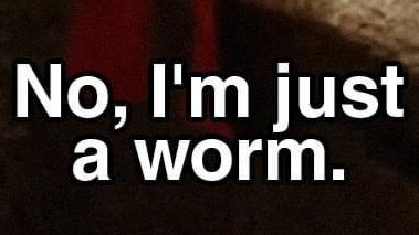 Just A Worm