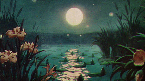 The Pond