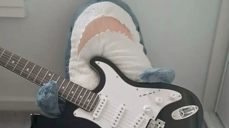 Sharks with Guitarsのバナー