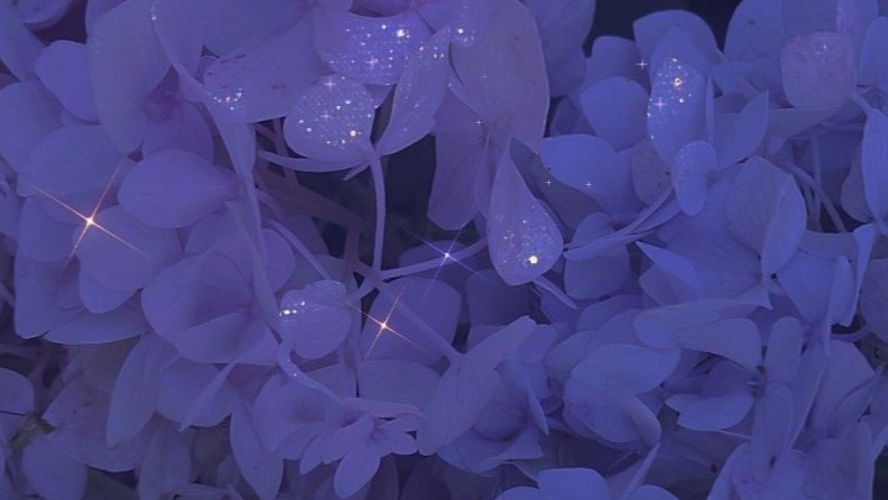Lotsa Lil' Moths