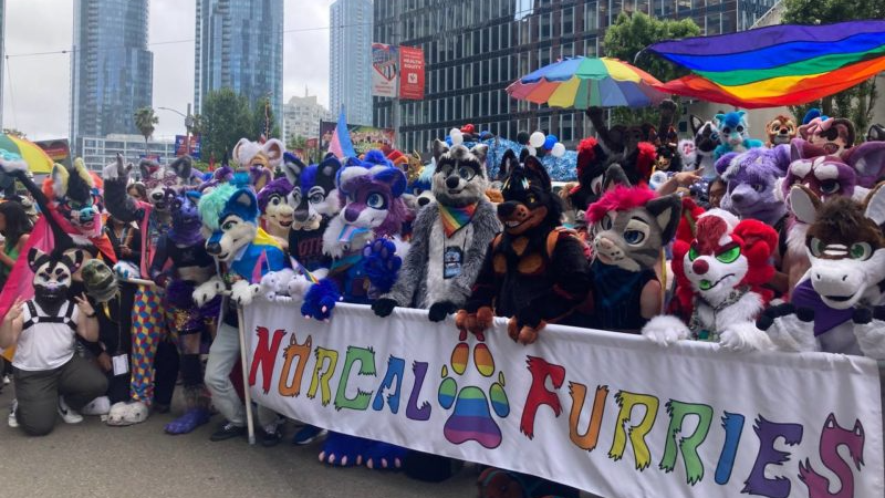 BayArea Furry communityのバナー