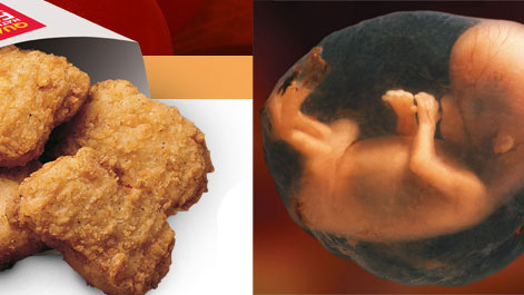 fetus nuggetsのバナー