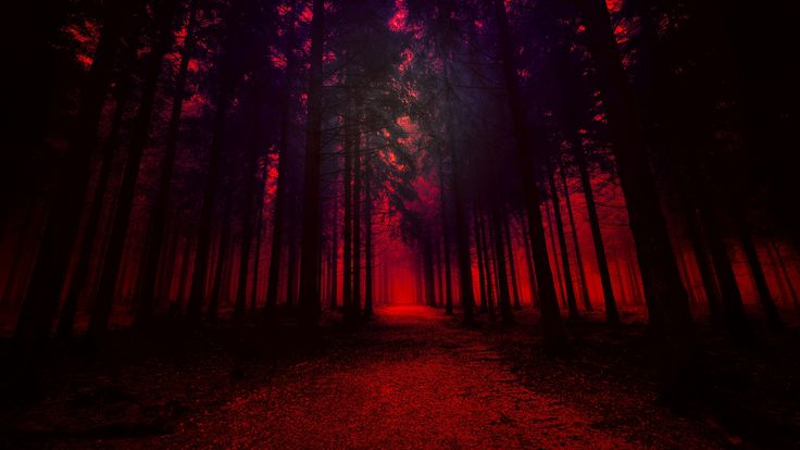 Vampire Heaven