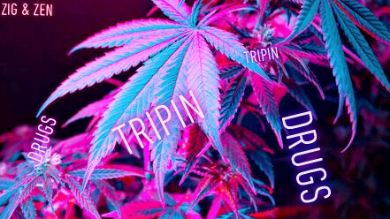 Weedheadsのバナー