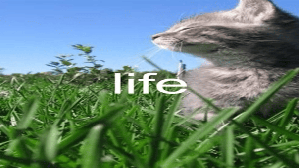 lifeのバナー