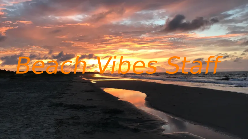 Beach Vibes Staffのバナー