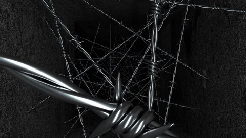 Barbed Wireのバナー