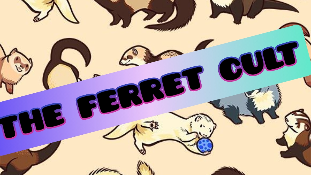 The Ferrets