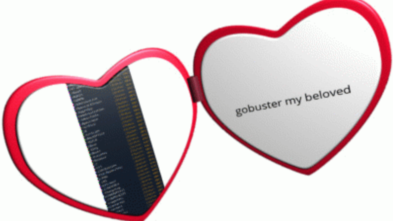 gobuster enjoyers