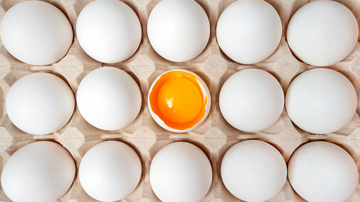 The Egg Timers