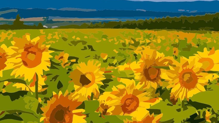 MAPACCHINO COUNTRY
