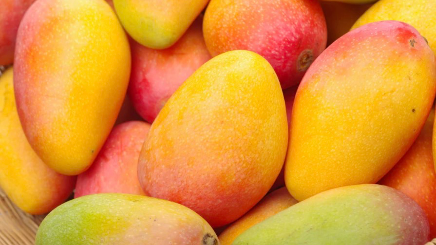The Mexican Mango Muncher