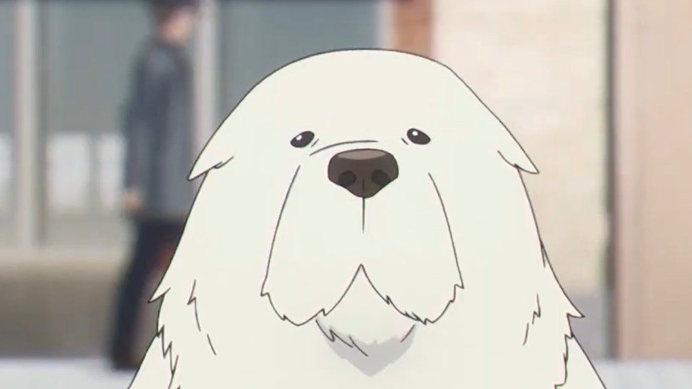 Le Woofのバナー