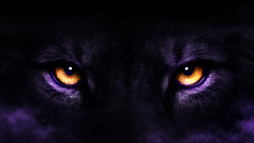 Night Lion Orderのバナー