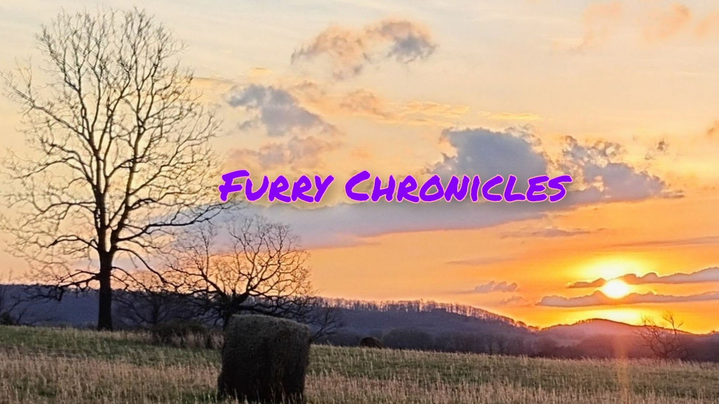 Furry Chroniclesのバナー