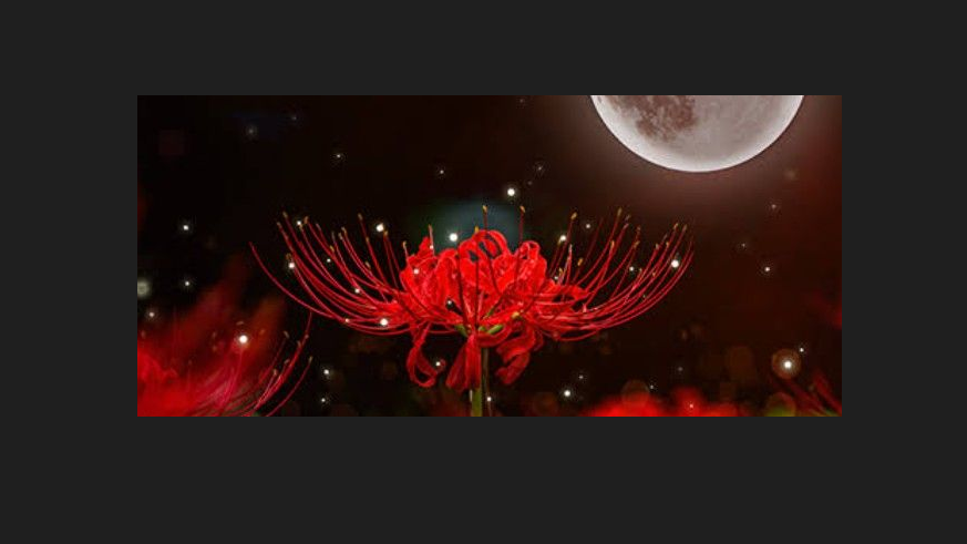 彼岸花のバナー