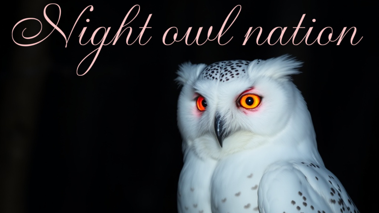NightOwlNationのバナー