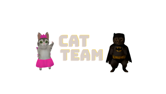 cat teamのバナー