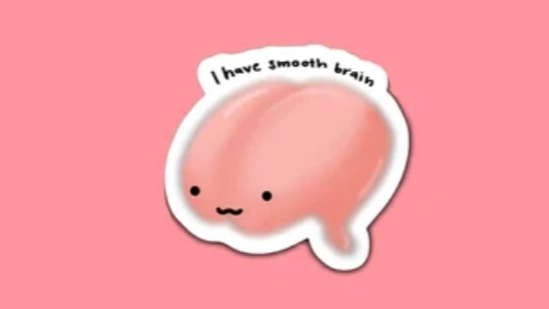 People who have smooth brainsのバナー