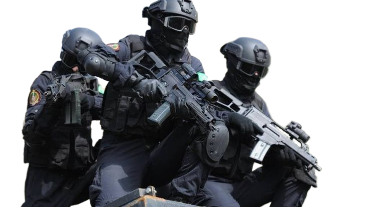 Northstar International