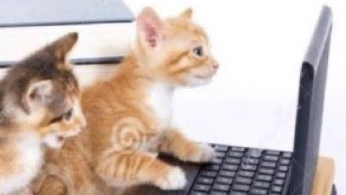 SpaceCatのバナー