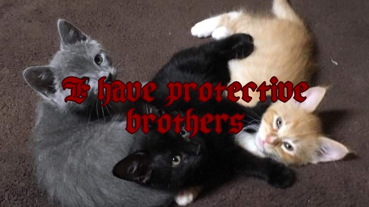 Protective brothersのバナー